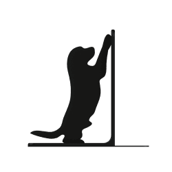 Bookend com cachorro – acessório estiloso | Fluo Dog
