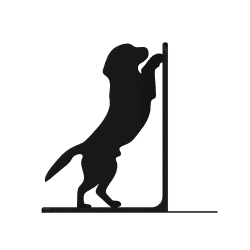 Kirjatuki koiralla, joka seisoo kahdella tassulla | Fluo Dog