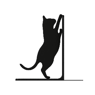 Soporte para libros - gato apoyado en libros