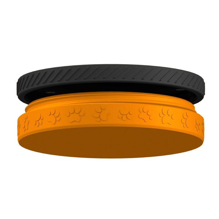 Pudełko do szukania zapachów - trening nosework - Fluonose Pro