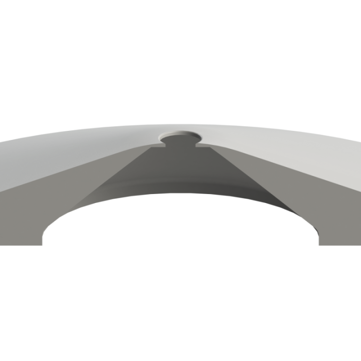 Scent Disk Hollow na płaskiej nawierzchni – brak krawędzi zapobiega braniu przedmiotu do pyska