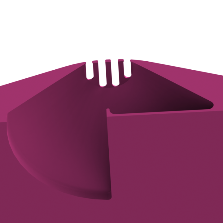 Aerodynamiczny kształt dysku uniemożliwiający psu podniesienie go zębami