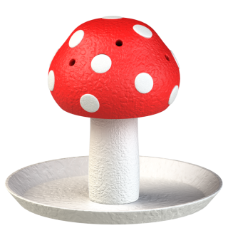 Ensemble "Chasse aux champignons" pour des entraînements olfactifs dans le jardin