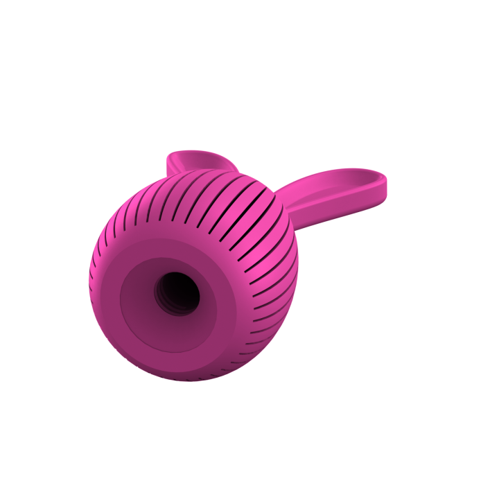 Ukrycie zapachu do ćwiczeń scent work w klimacie świątecznym