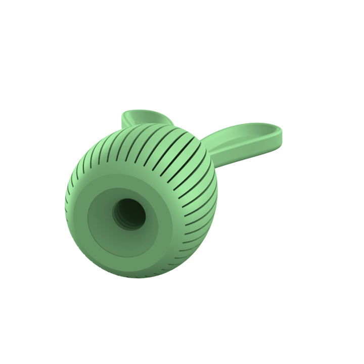 Ukrycie zapachu do ćwiczeń scent work w klimacie świątecznym