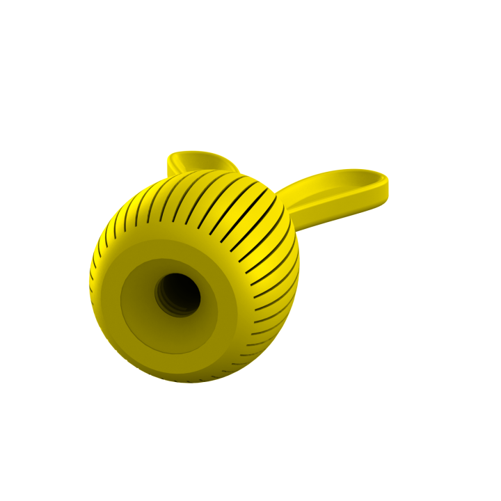 Ukrycie zapachu do ćwiczeń scent work w klimacie świątecznym