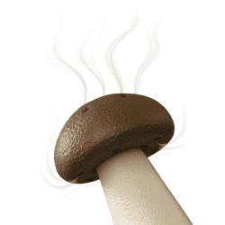 Ensemble de 5 champignons olfactifs M + 2 porte-parfums | Fluo Dog