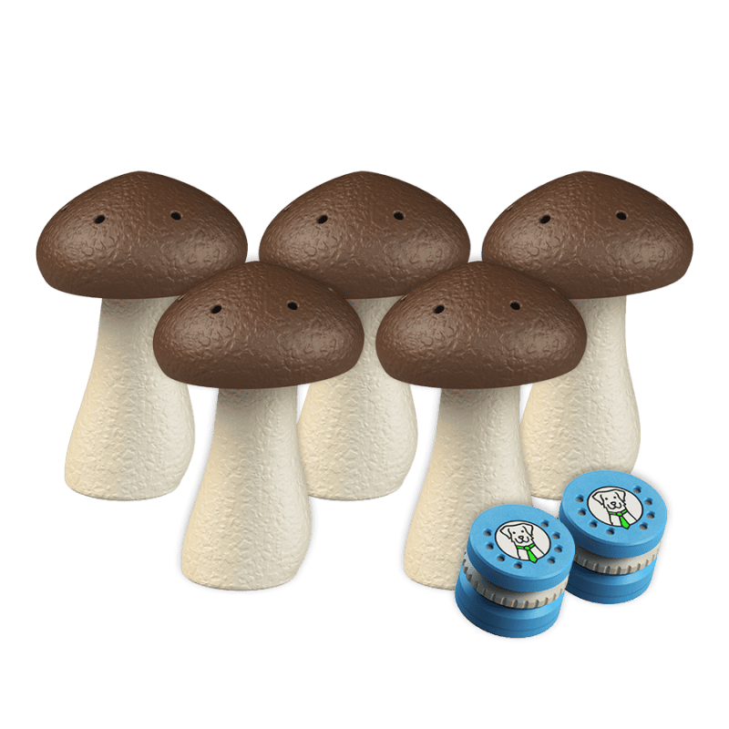 Set of 5 scent mushrooms M + 2 scent carriers | Fluo Dog
