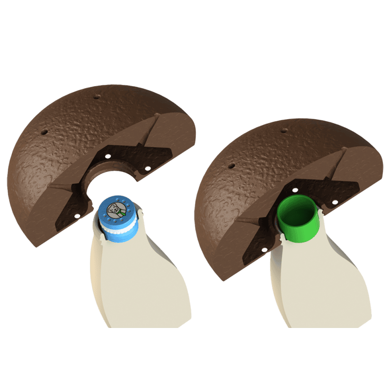 Set de 5 champignons olfactifs L + 2 boîtes à odeurs | Fluo Dog