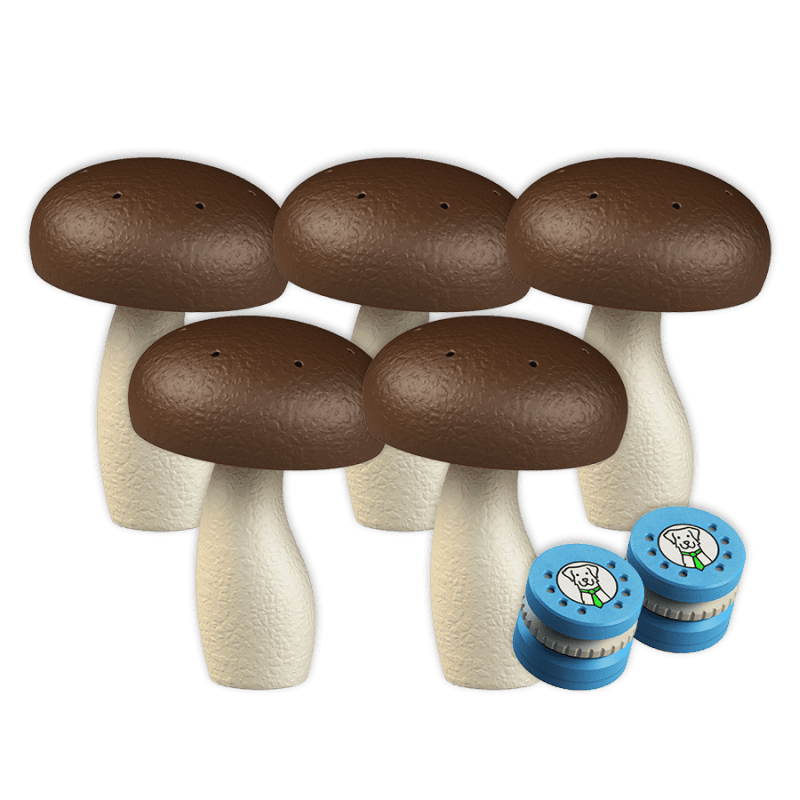 Set 5x grzybek węchowy L + 2 pudełka zapachowe | Fluo Dog