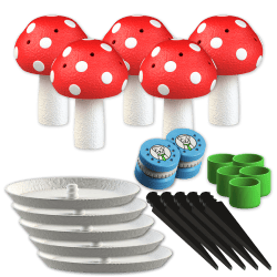 Champignons olfactifs S 5x + 2 boîtes à odeur | Fluo Dog