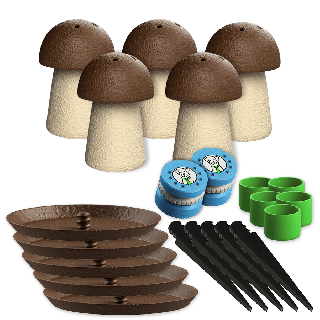 Set 5x pequeno cogumelo de cheiro + 2x latas de aroma para treinamentos de Nosework