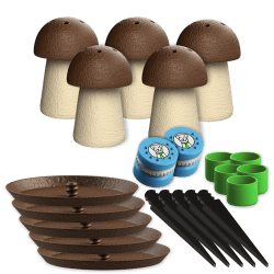 Set di 5x piccolo fungo olfattivo + 2x barattoli aromatici per allenamenti di Nosework