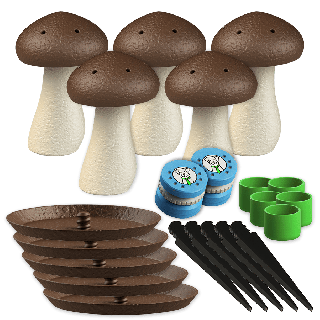 Set of 5 medium scent mushrooms + 2 scent cans for Nosework training - size M