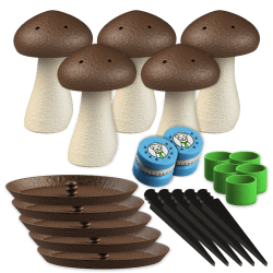 Set 5x Duftpilze M + 2 Duftträger | Fluo Dog