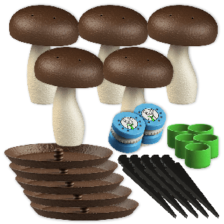 Set 5x großer Duftpilz + 2x Duftdose für das Training von Nosework - Größe L