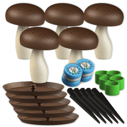 Set de 5x hongo olfativo L + 2 cajas de aroma | Fluo Dog