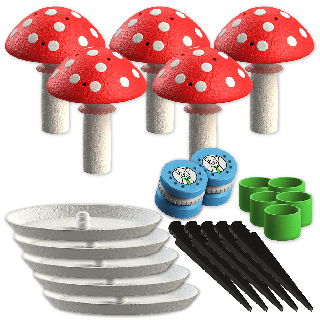 Set di 5x medio fungo scent + 2x scatola profumata per allenamenti Nosework - taglia M