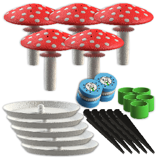 5x grand champignon sensoriel + 2x boîte à odeurs pour entraînements Nosework - taille L