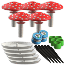 ICE NFC Adressanhänger - Schlüsselanhänger mit QR und Nummer | Fluo Dog