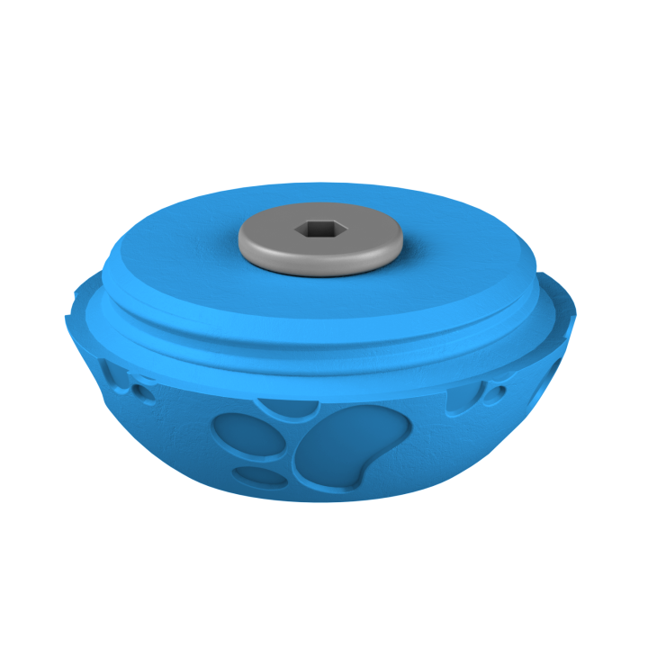 Świąteczne ukrycie zapachu – kolorowe jajo do ćwiczeń scent work w klimacie Wielkanocy.