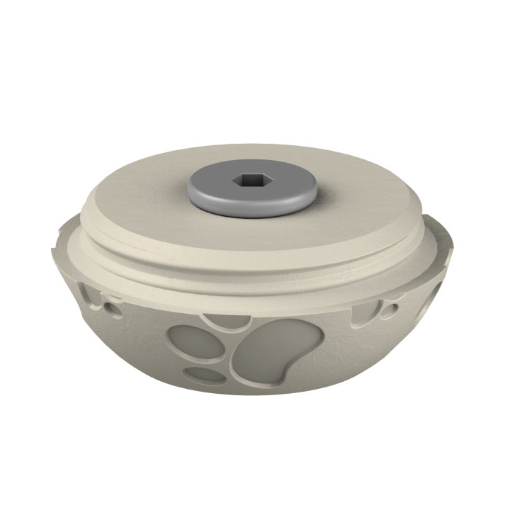 Świąteczne ukrycie zapachu – kolorowe jajo do ćwiczeń scent work w klimacie Wielkanocy.