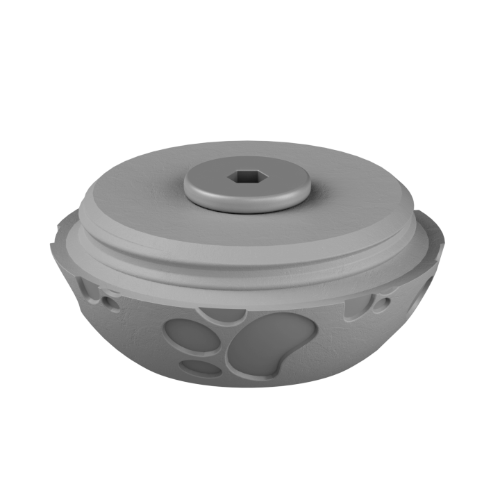 Świąteczne ukrycie zapachu – kolorowe jajo do ćwiczeń scent work w klimacie Wielkanocy.