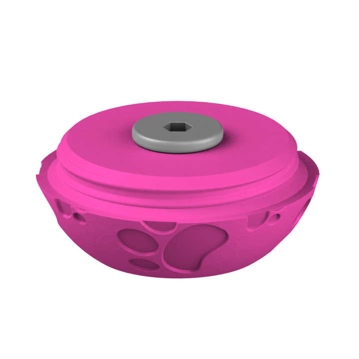 Świąteczne ukrycie zapachu – kolorowe jajo do ćwiczeń scent work w klimacie Wielkanocy.