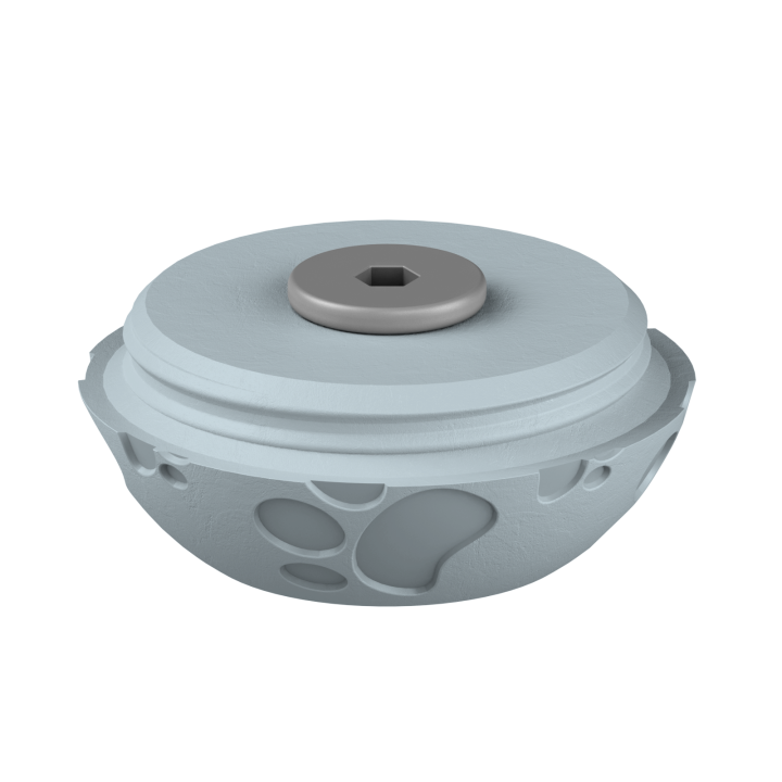 Świąteczne ukrycie zapachu – kolorowe jajo do ćwiczeń scent work w klimacie Wielkanocy.