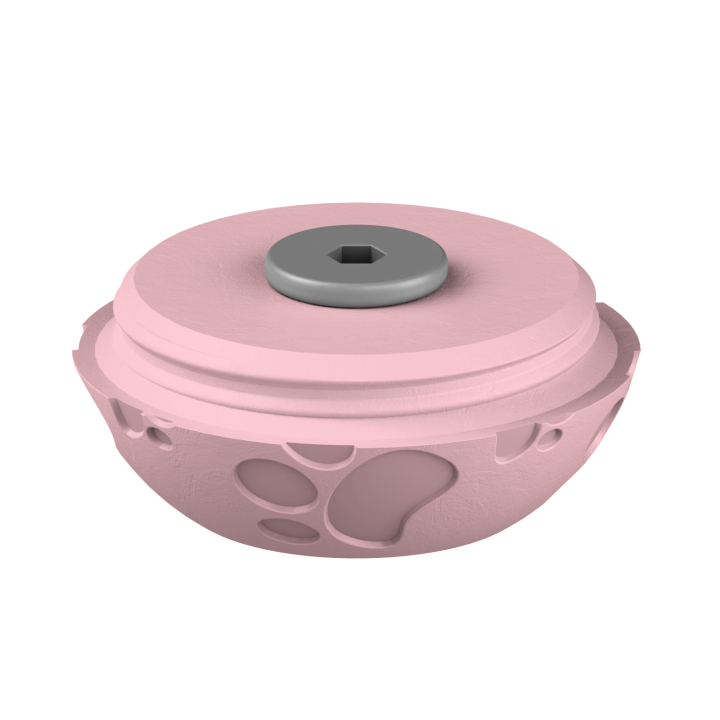 Świąteczne ukrycie zapachu – kolorowe jajo do ćwiczeń scent work w klimacie Wielkanocy.