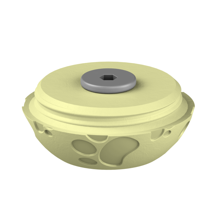 Świąteczne ukrycie zapachu – kolorowe jajo do ćwiczeń scent work w klimacie Wielkanocy.