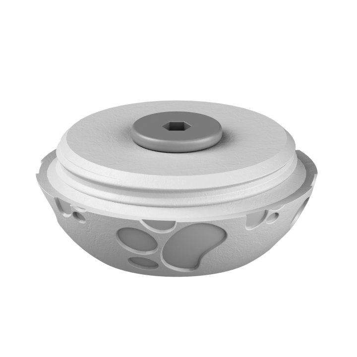 Świąteczne ukrycie zapachu – kolorowe jajo do ćwiczeń scent work w klimacie Wielkanocy.