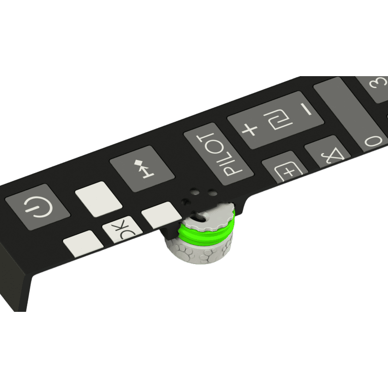 TV-Fernbedienung Attrappe für Nasenarbeit | Fluo Dog