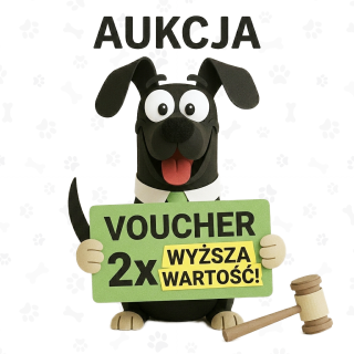 🏷️Voimavoucher x2 - Paljonko huudat, sen kaksinkertaistamme!