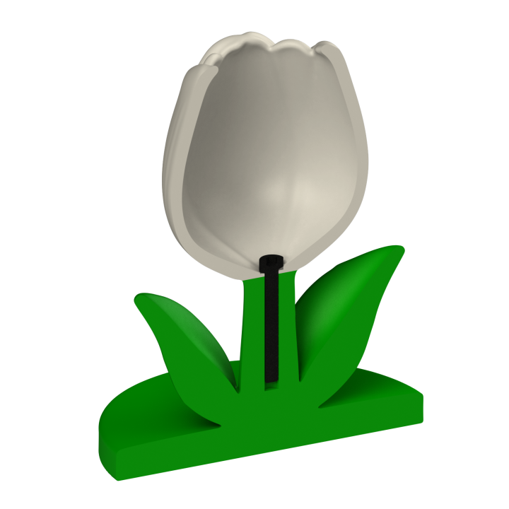 Tulipan do noseworku – solidna