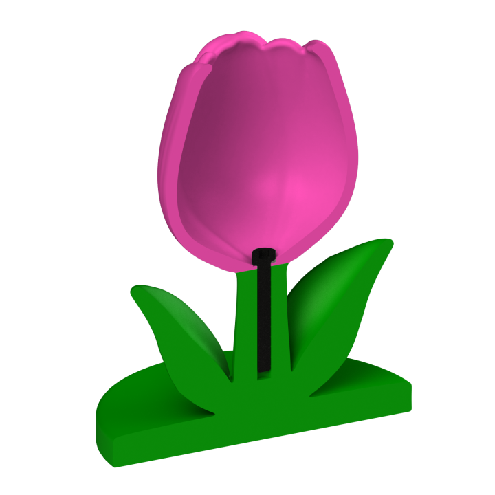 Tulipan do noseworku – solidna