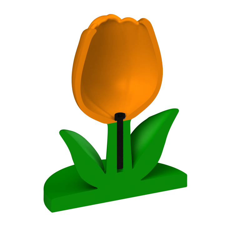 Tulipan do noseworku – solidna