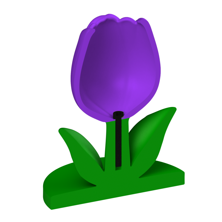 Tulipan do noseworku – solidna