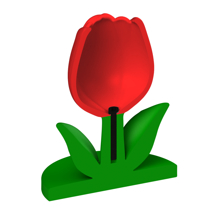 Tulipan do noseworku – solidna