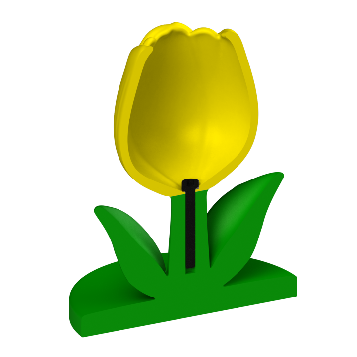 Tulipan do noseworku – solidna