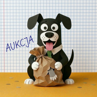 🏷️Kot w worku🐾 - aukcja niespodzianka