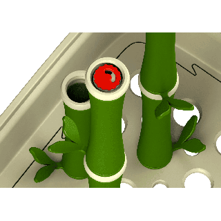 Bambusy för scent training