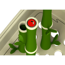 Bambusy Węchowe do treningów Węchowych | Fluo Dog