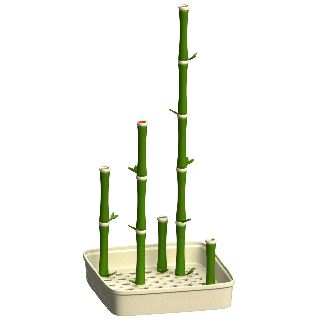 Scent Bamboo for Nosework Training