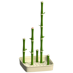 Bambusy na węch do treningów Nosework