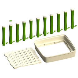 Scent Work Bamboo Sticks for Nosework Training | Fluo Dog