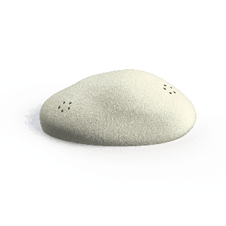 Pietra olfattiva media per l'addestramento nosework