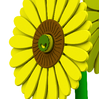 Girasoles para entrenamientos de nosework - set