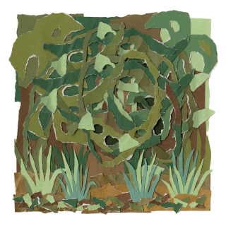 🏷️Co Wiatr Przyniesie... - licytacja w ciemno