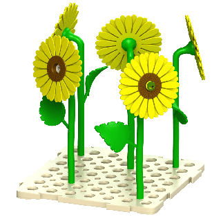 Girasoles para entrenamientos de nosework - set